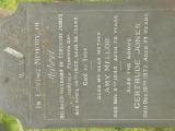 image of grave number 647310